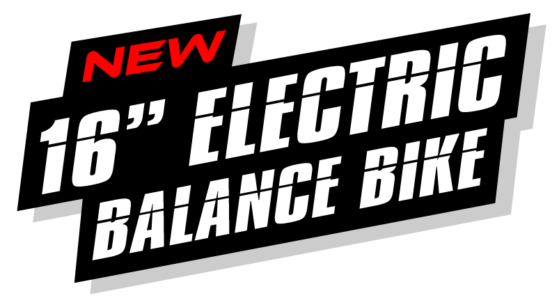 electric bikes gold coast